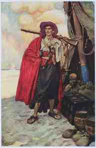 Romantic, largely imagined painting of a buccaneer. From Howard Pyle's Book of Pirates.